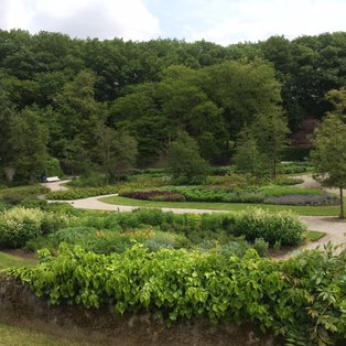 Park im Frühling im Vordergrund Sträucher und ein Weg und im Hintergrund hohe Bäume